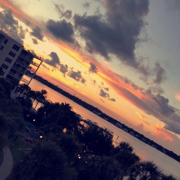 Meet your Posher, Abby - Picture 1 of 1